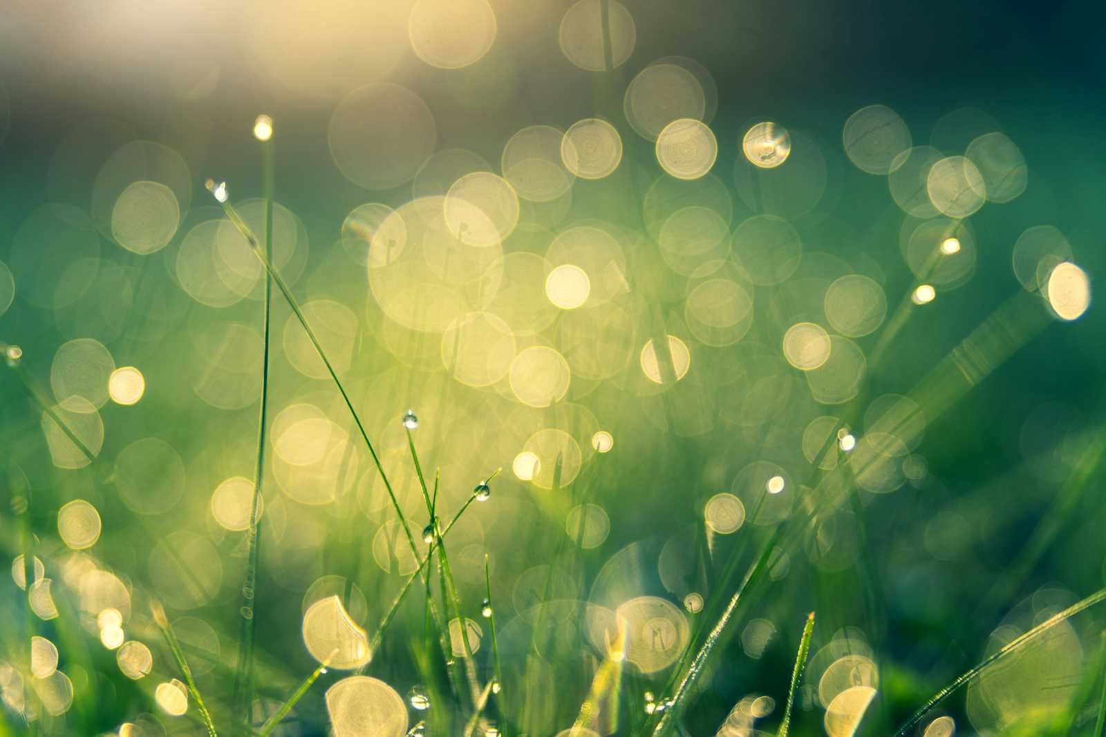 Green Assets in Turkey: Strategic Reporting and Financial Compliance in 2025 and Beyond