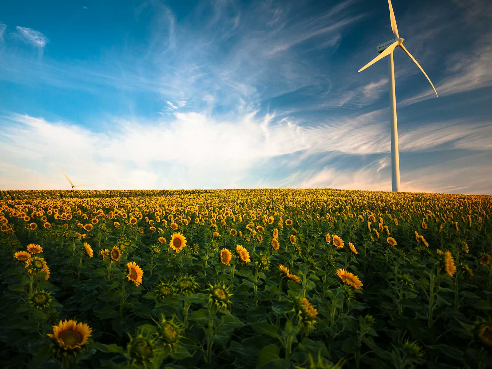 The Role and Importance of ESG Reporting in Independent Audit in 2025