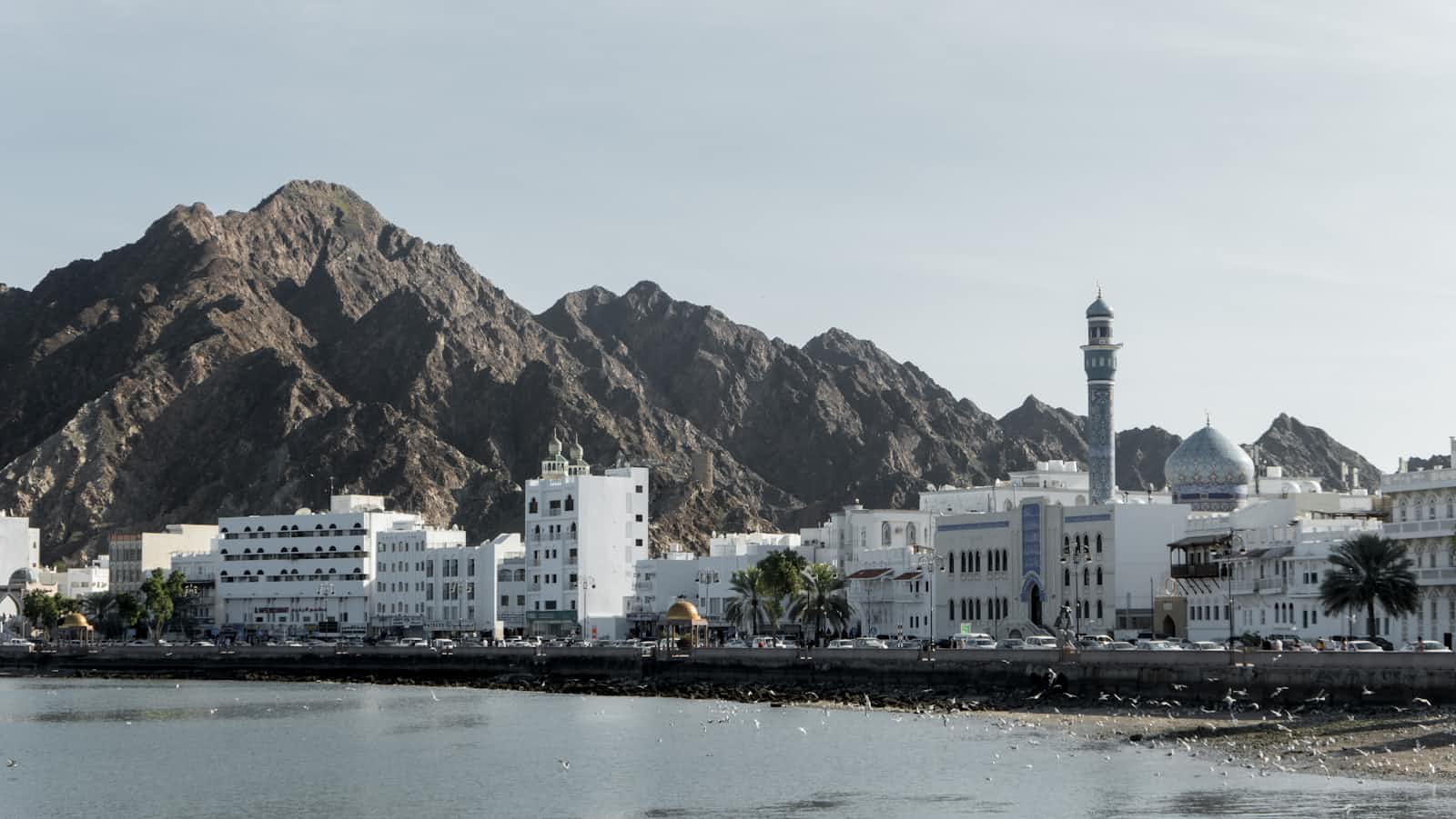 Setting up Company in Oman
