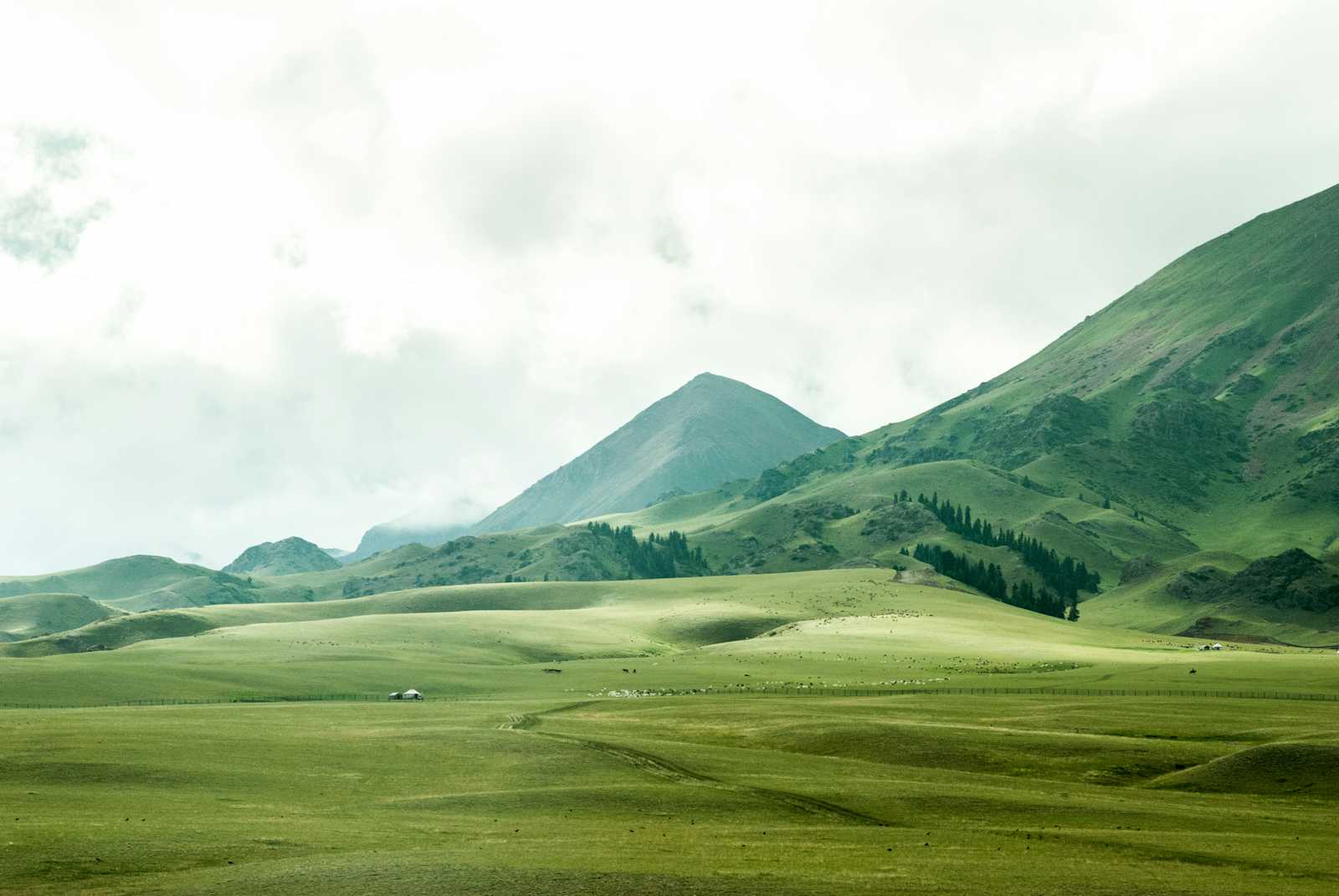 Green Taxonomy in Turkey: EU-Aligned Sustainability & Finance Guide (2026)