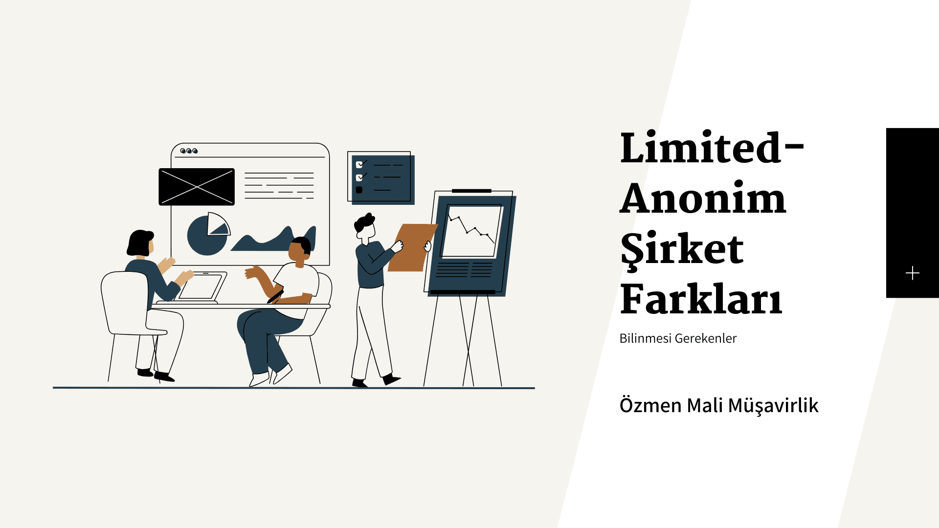 Limited Anonim Şirket Farkları
