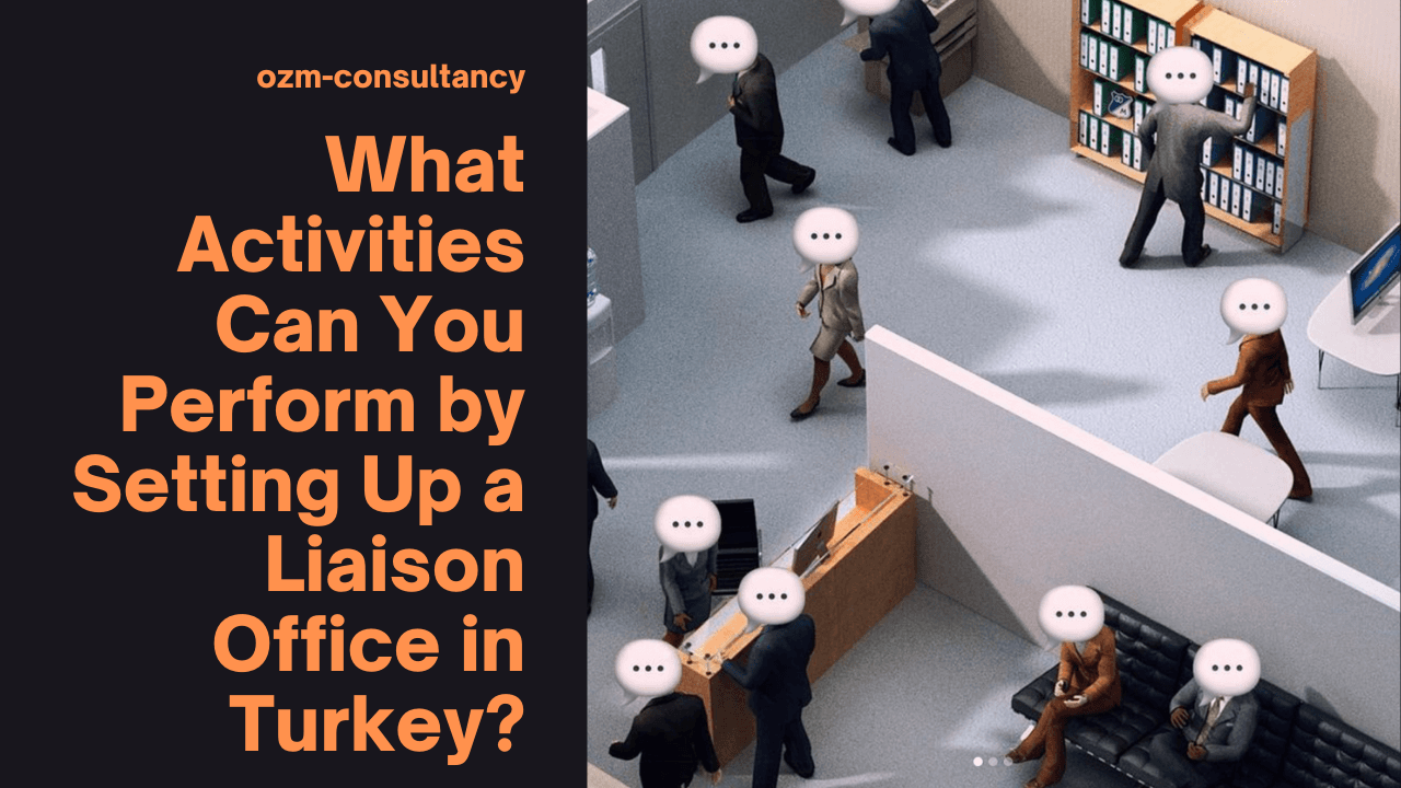 What Activities Can You Perform by Setting Up a Liaison Office in Turkey?