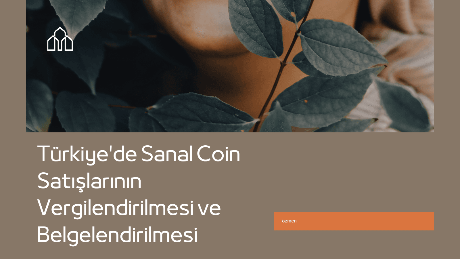 Türkiye'de Sanal Coin Satışlarının Vergilendirilmesi ve Belgelendirilmesi