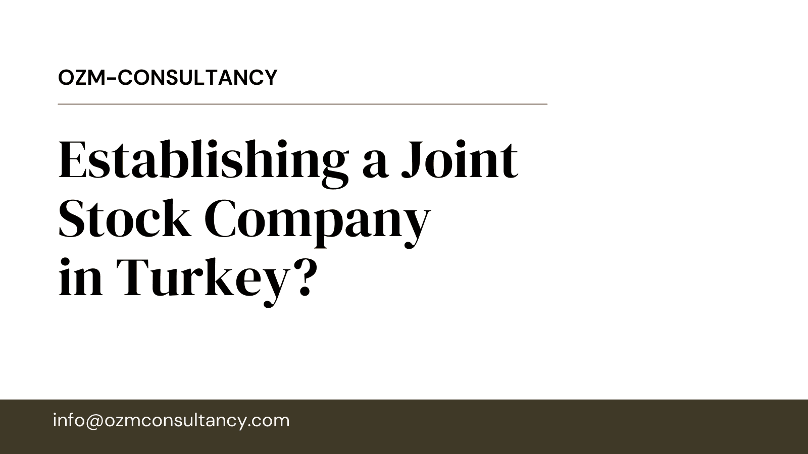 What is a joint-stock company in Turkey? Establishing a Joint Stock Company