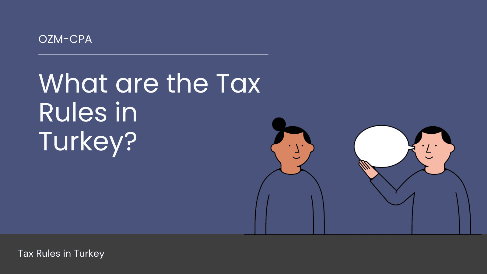 A Guide to Turkey's Tax System: Key Categories, Rates, and Recent Developments