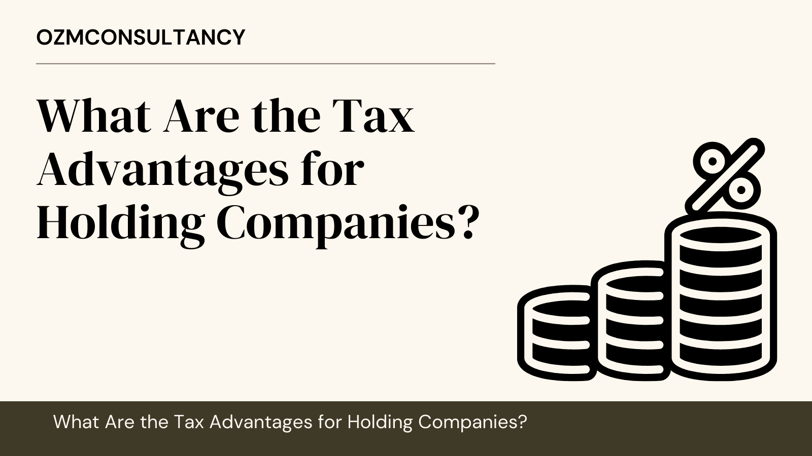 What Are the Tax Advantages for Holding Companies?