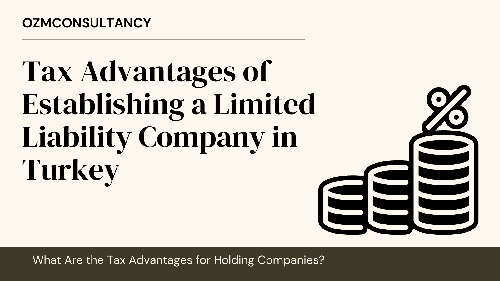 Tax Advantages of Establishing a Limited Liability Company in Turkey