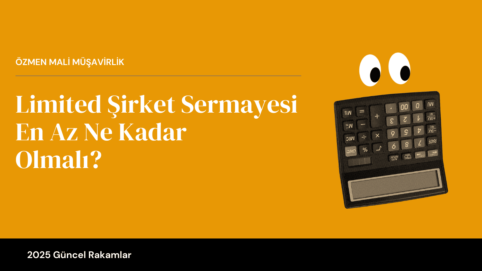 Limited Şirket Sermayesi En Az Ne Kadar Olmalı? (2025 Güncel Bilgiler)