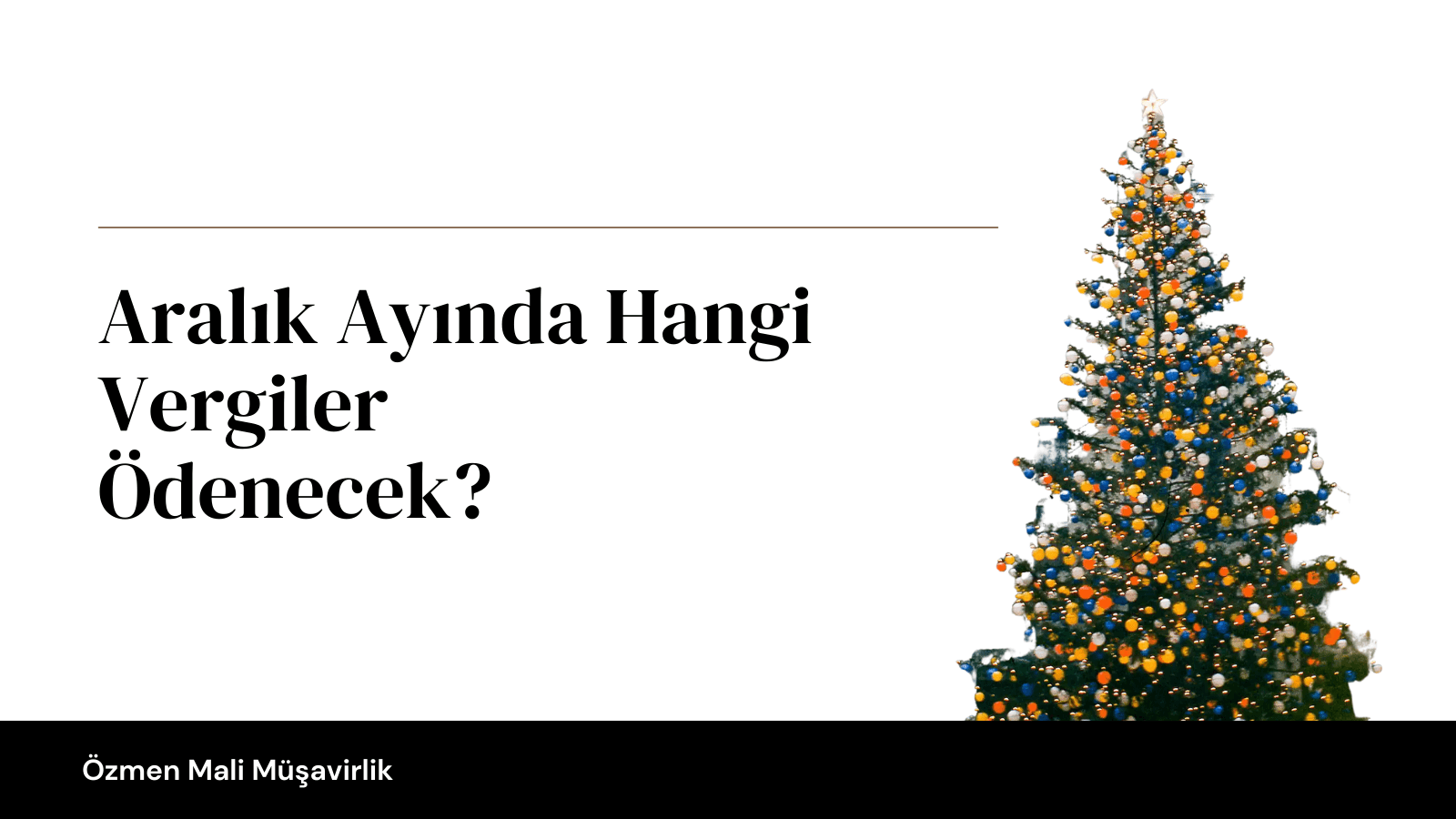 Aralık Ayında Hangi Vergiler Ödenecek? Şirketler İçin Yıl Sonu Kontrol ve Yeni Yıla Hazırlık