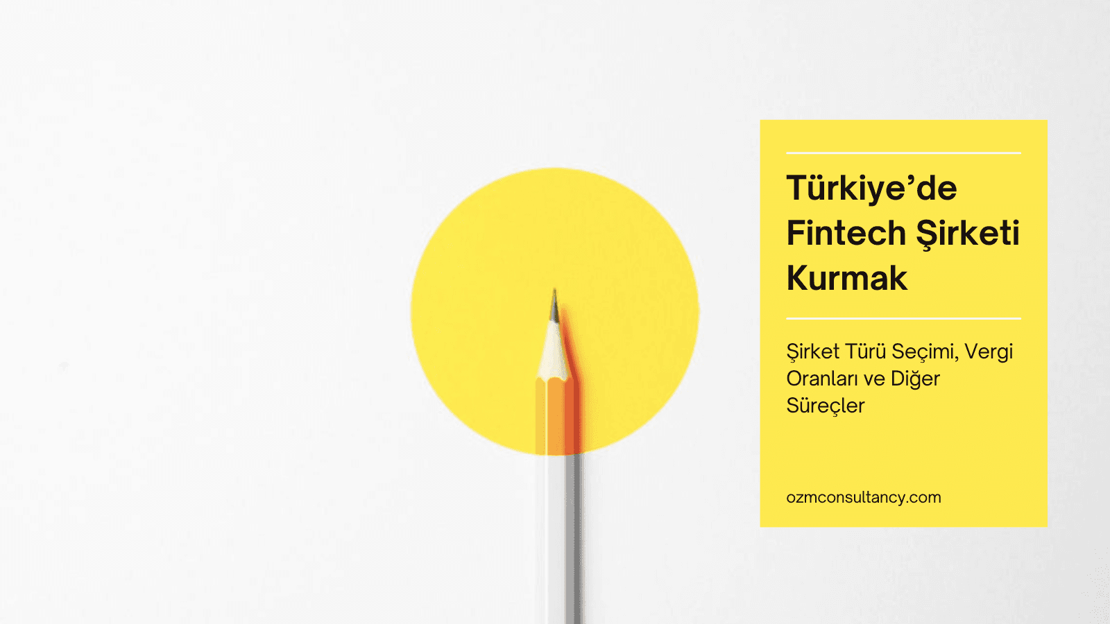 Türkiye’de Fintech Şirketi Kurmak: Şirket Türü Seçimi, Vergi Oranları ve Diğer Süreçler