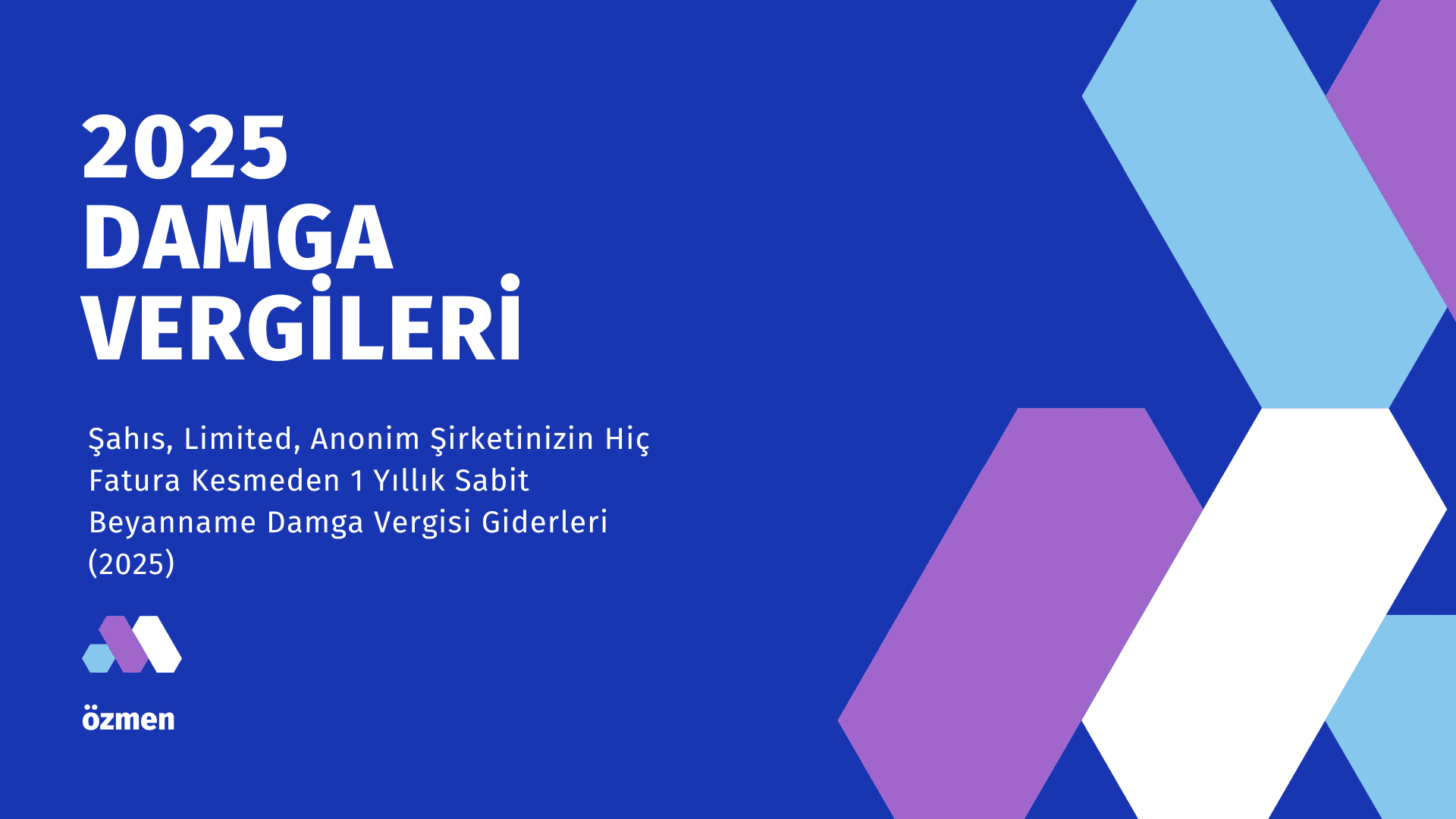 Şahıs, Limited, Anonim Şirketinizin Hiç Fatura Kesmeden 1 Yıllık Sabit Vergi Giderleri (2025)
