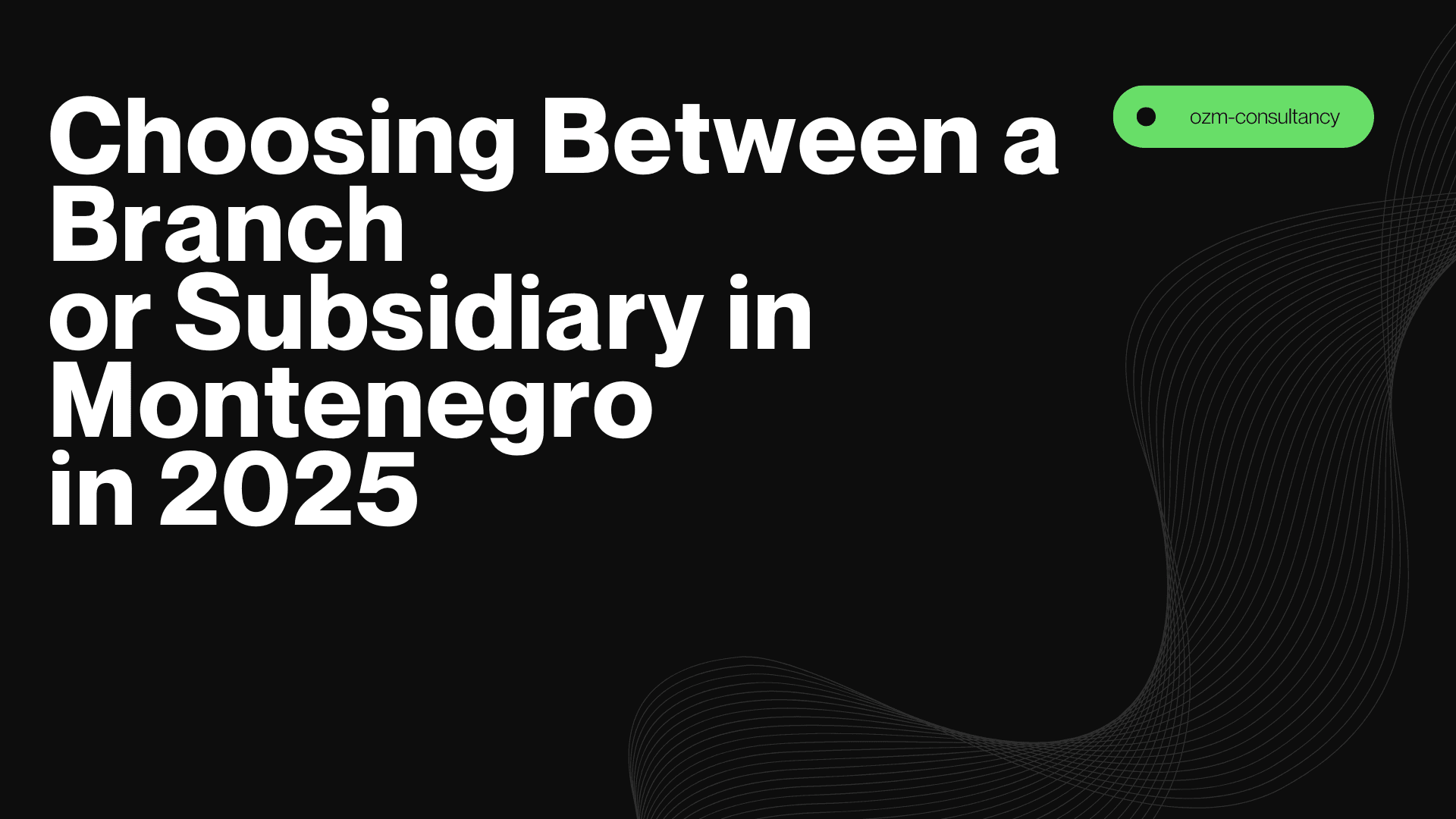 How to Choose Between Opening a Branch or a Subsidiary in Montenegro in 2025