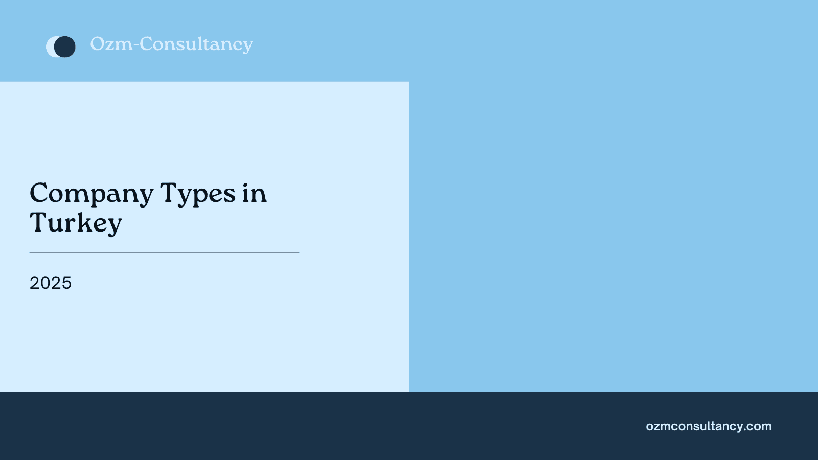 Company Types in Turkey 2025