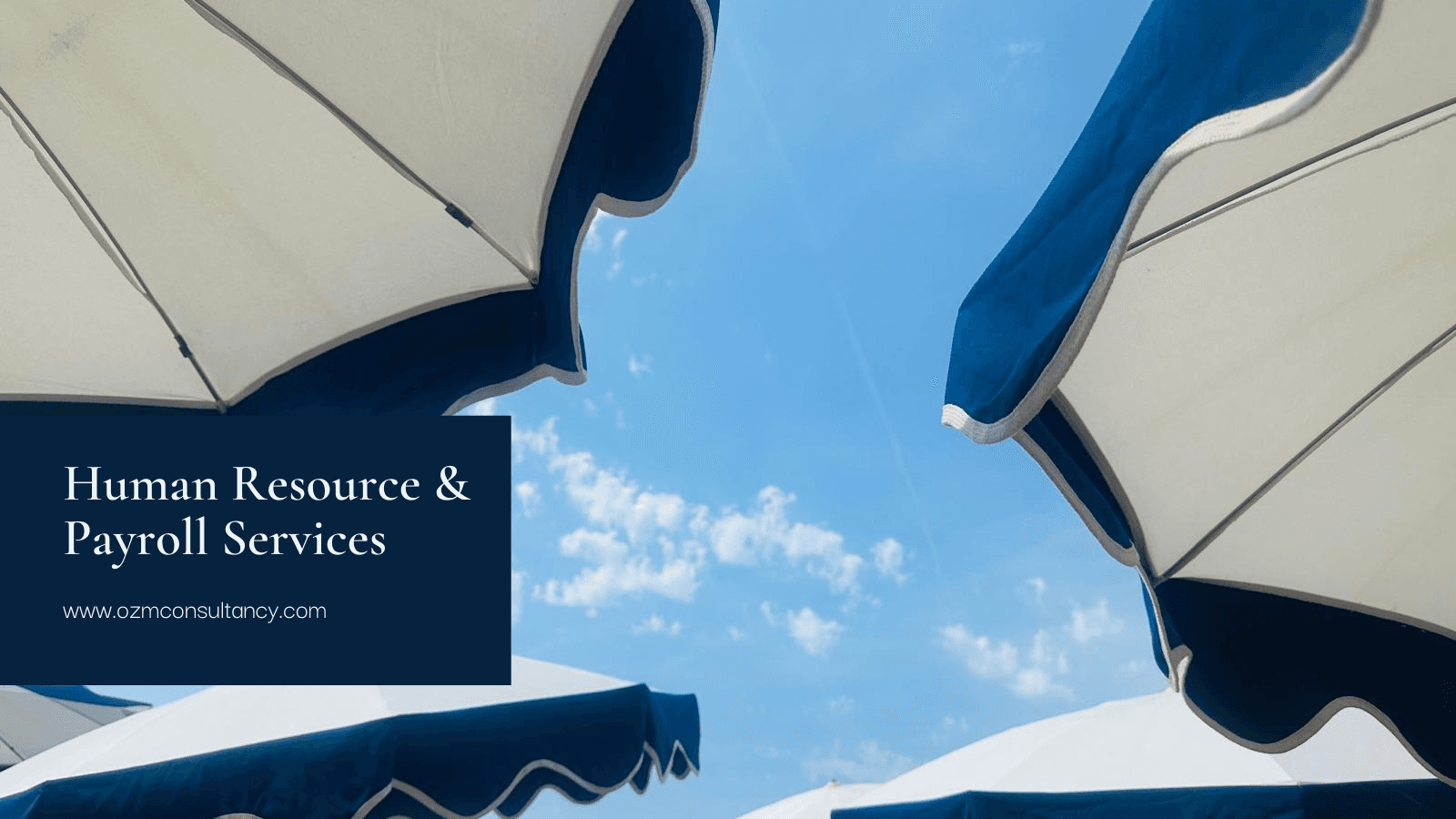 The Cost of Outsourcing Payroll in Turkey: Everything You Need to Know