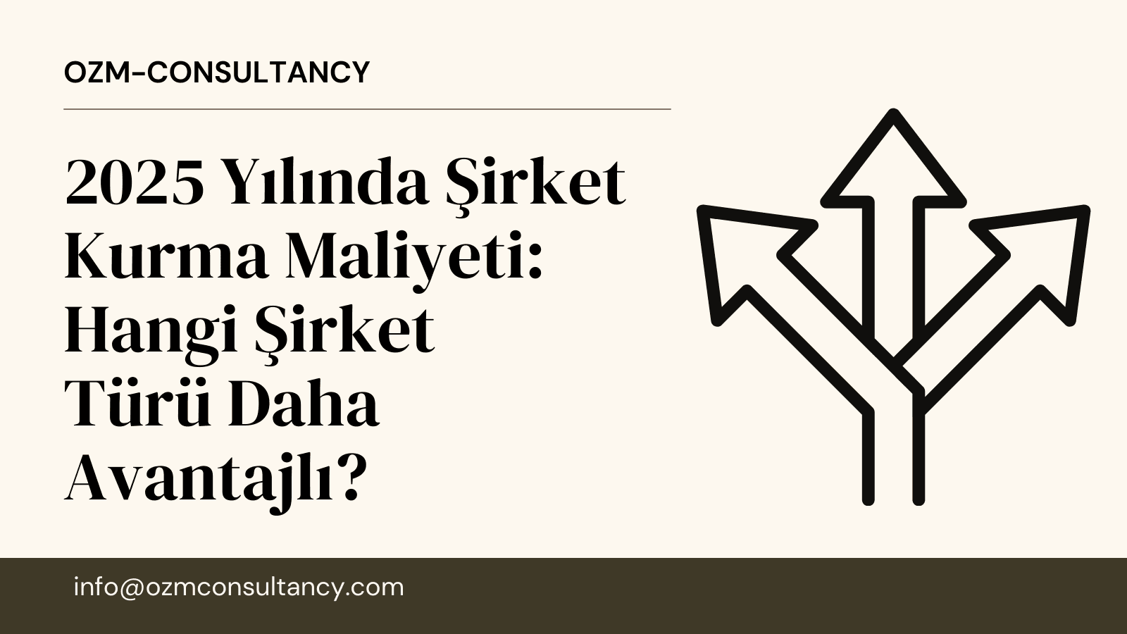 Limited Şirket Kuruluşu: 2025 Rehberi