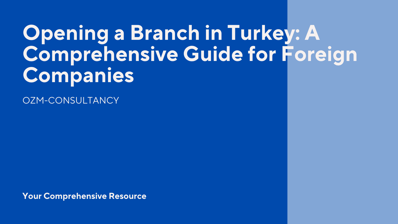 Opening a Branch in Turkey: A Comprehensive Guide for Foreign Companies