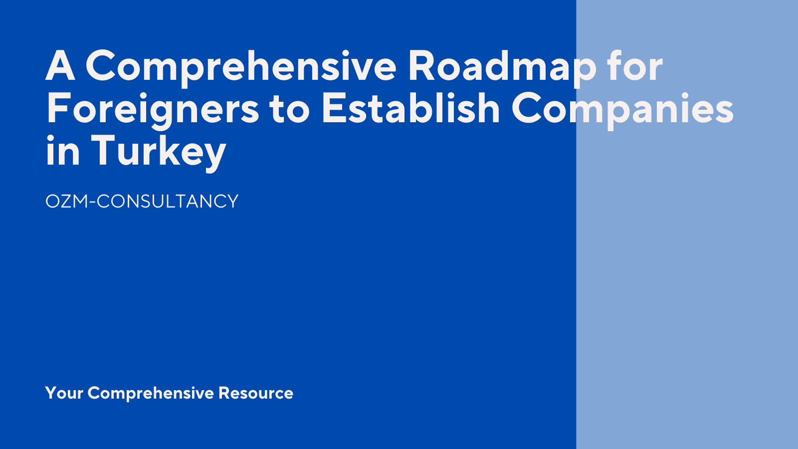 A Comprehensive Roadmap for Foreigners to Establish Companies in Turkey