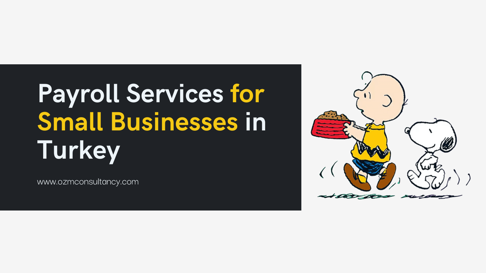 Payroll Services for Small Businesses in Turkey