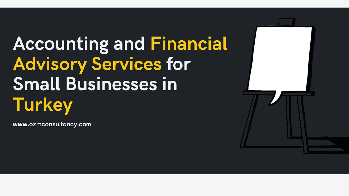 Accounting and Financial Advisory Services for Small Businesses in Turkey