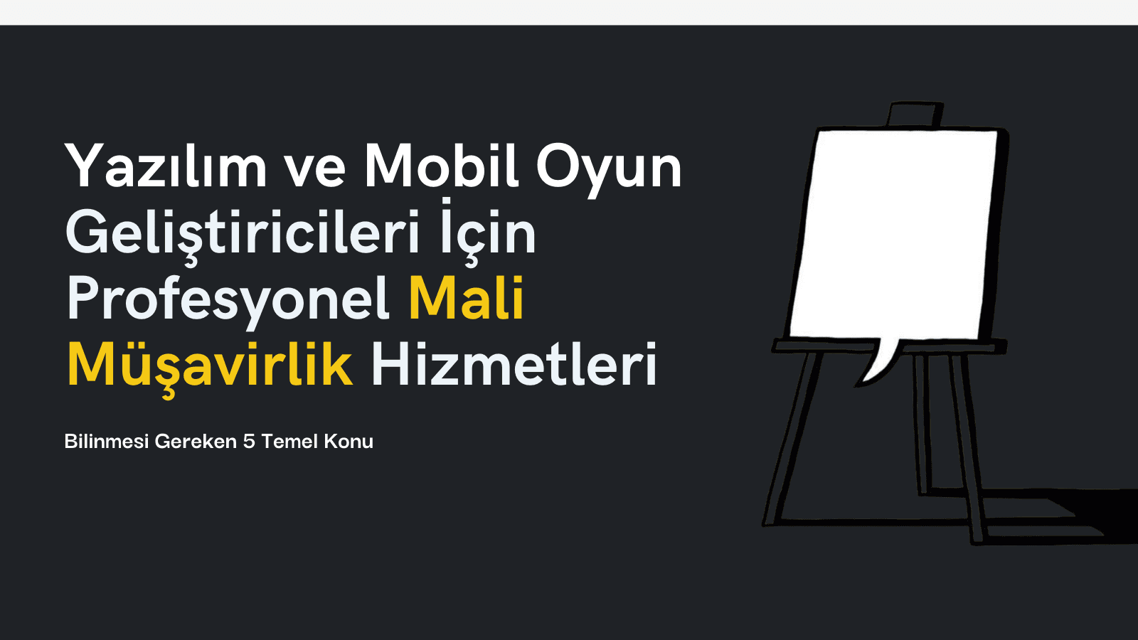 Yazılım ve Mobil Oyun Geliştiricileri İçin Profesyonel Mali Müşavirlik Hizmetleri