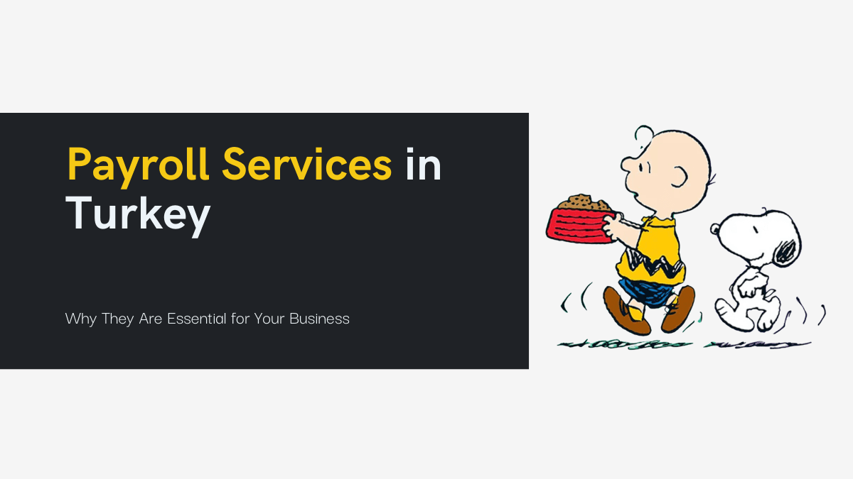 Payroll Services in Turkey: Why They Are Essential for Your Business