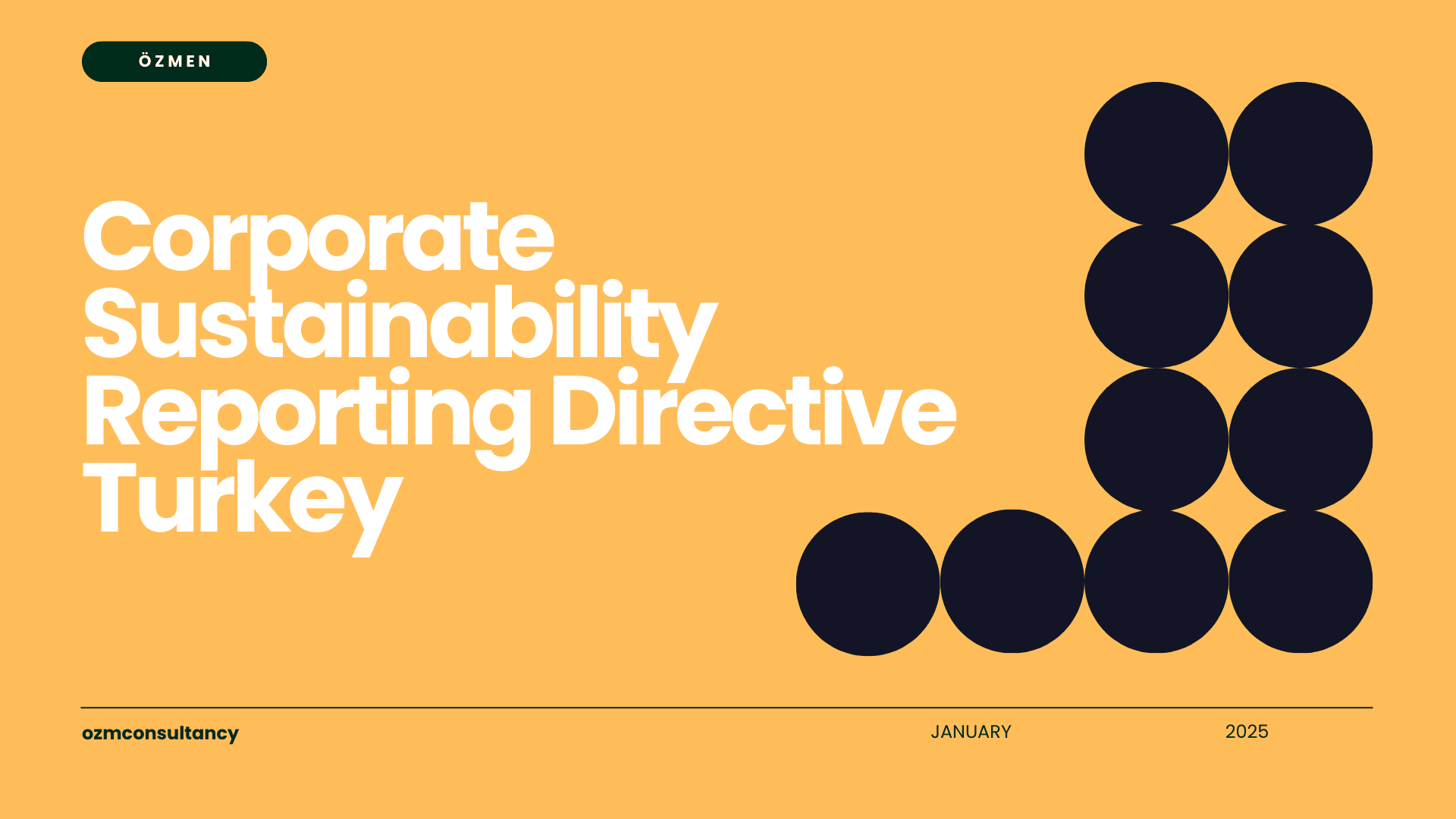 Corporate Sustainability Reporting Directive Turkey: What to Expect in 2025