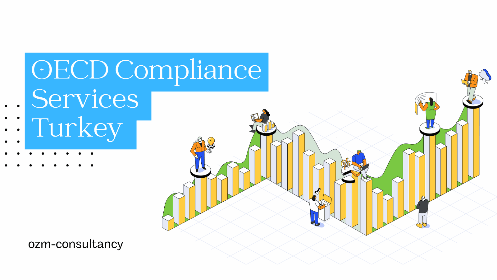 OECD Compliance Services Turkey