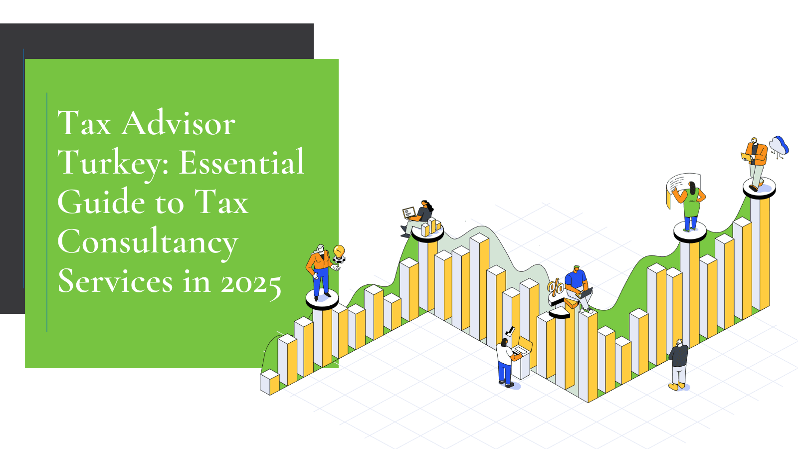 Tax Advisor Turkey: Essential Guide to Tax Consultancy Services in 2025