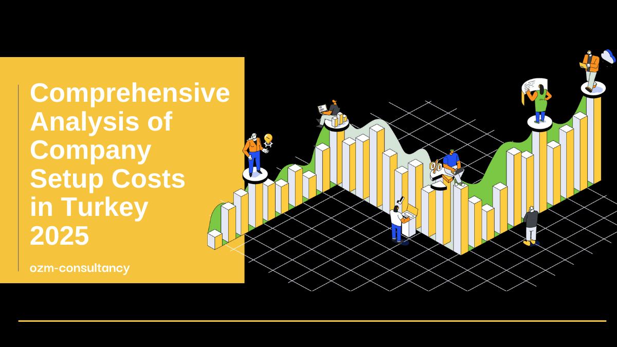 Comprehensive Analysis of Company Setup Costs in Turkey 2025