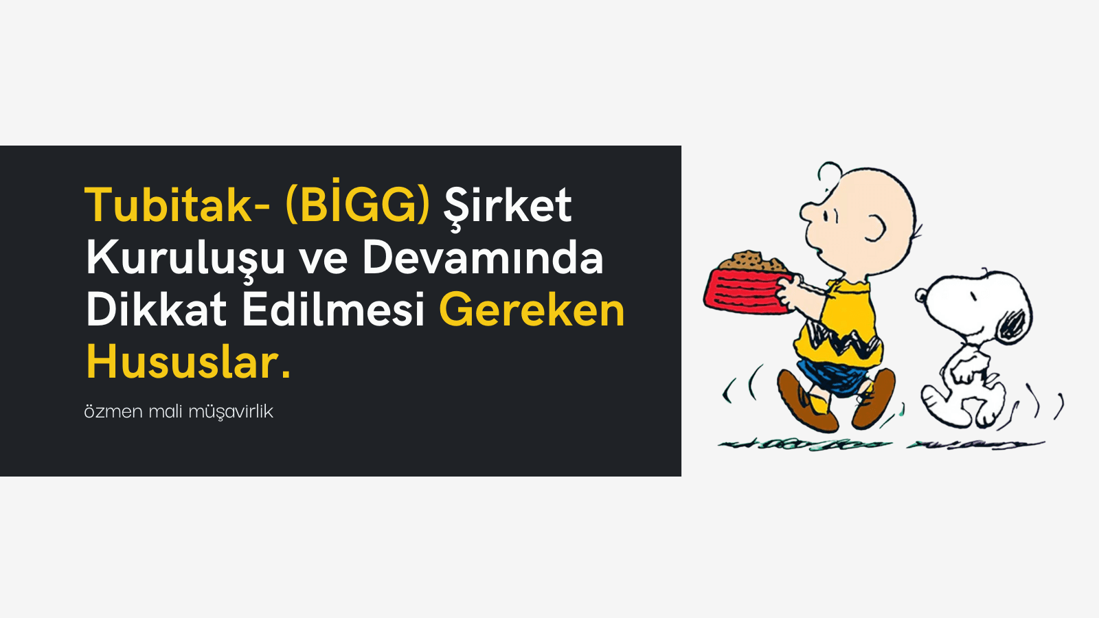 Tubitak- (BİGG) Şirket Kuruluşu ve Devamında Dikkat Edilmesi Gereken Hususlar.