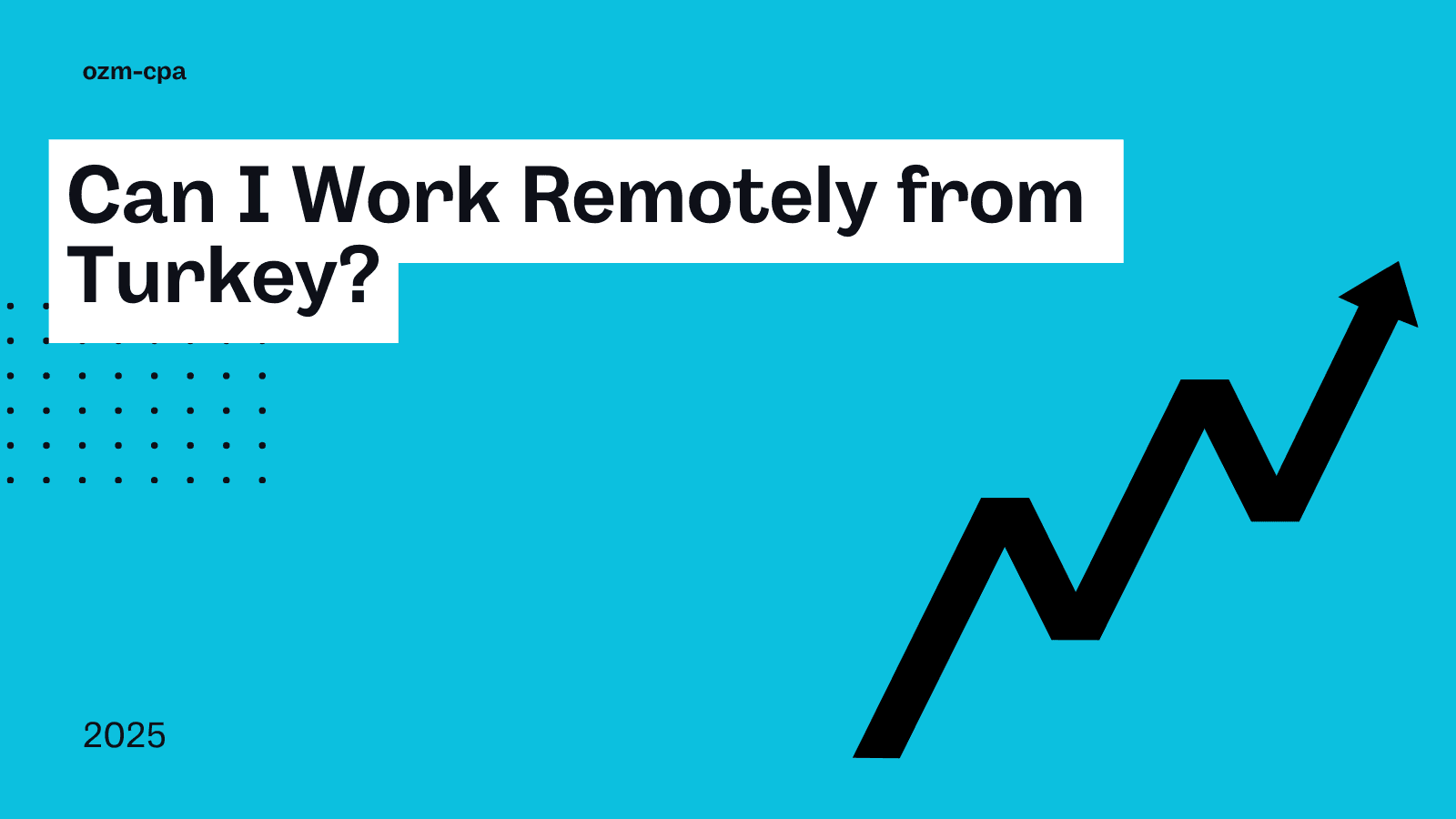 Can I Work Remotely from Turkey?