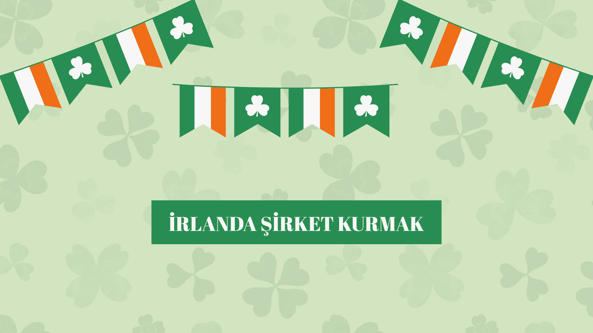 İrlanda’da Şirket Kurmak: Uzaktan Kuruluş Rehberi