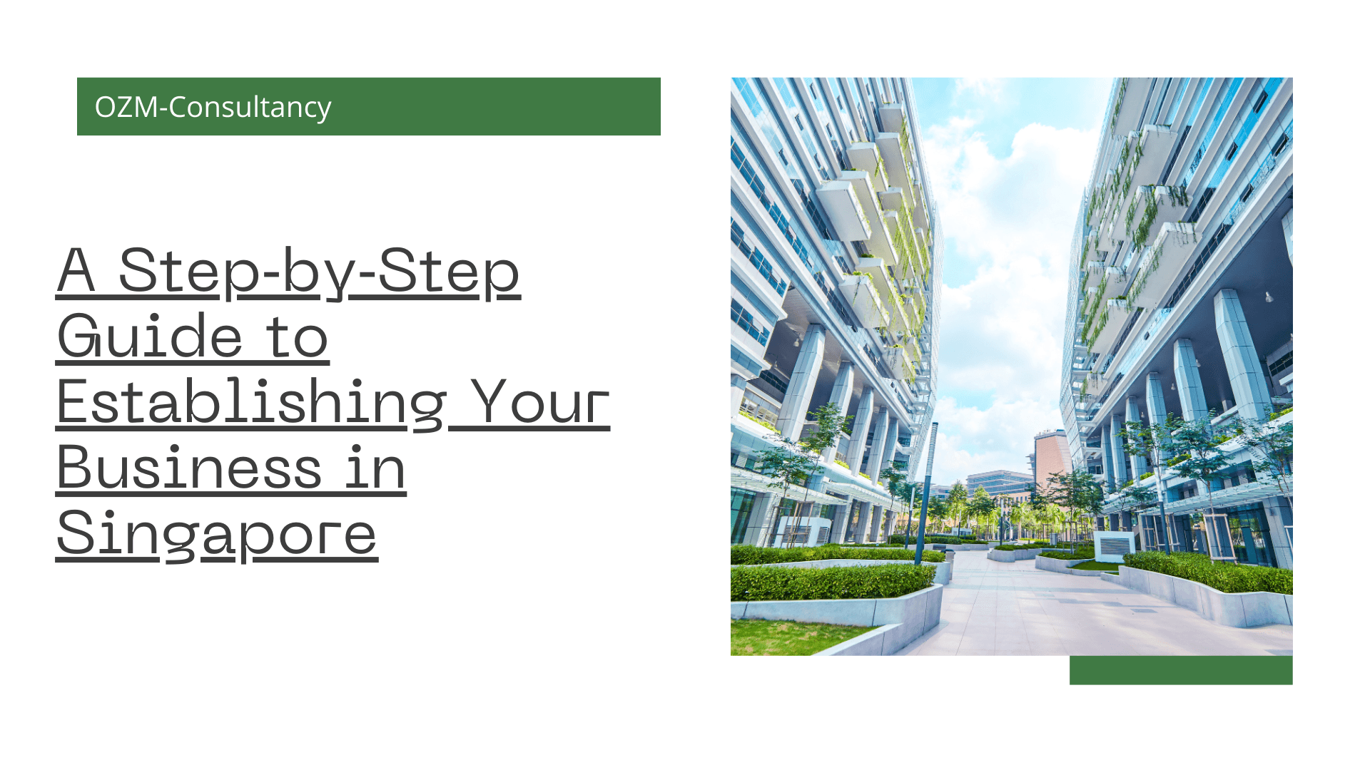 A Step‑by‑Step Guide to Establishing Your Business in Singapore