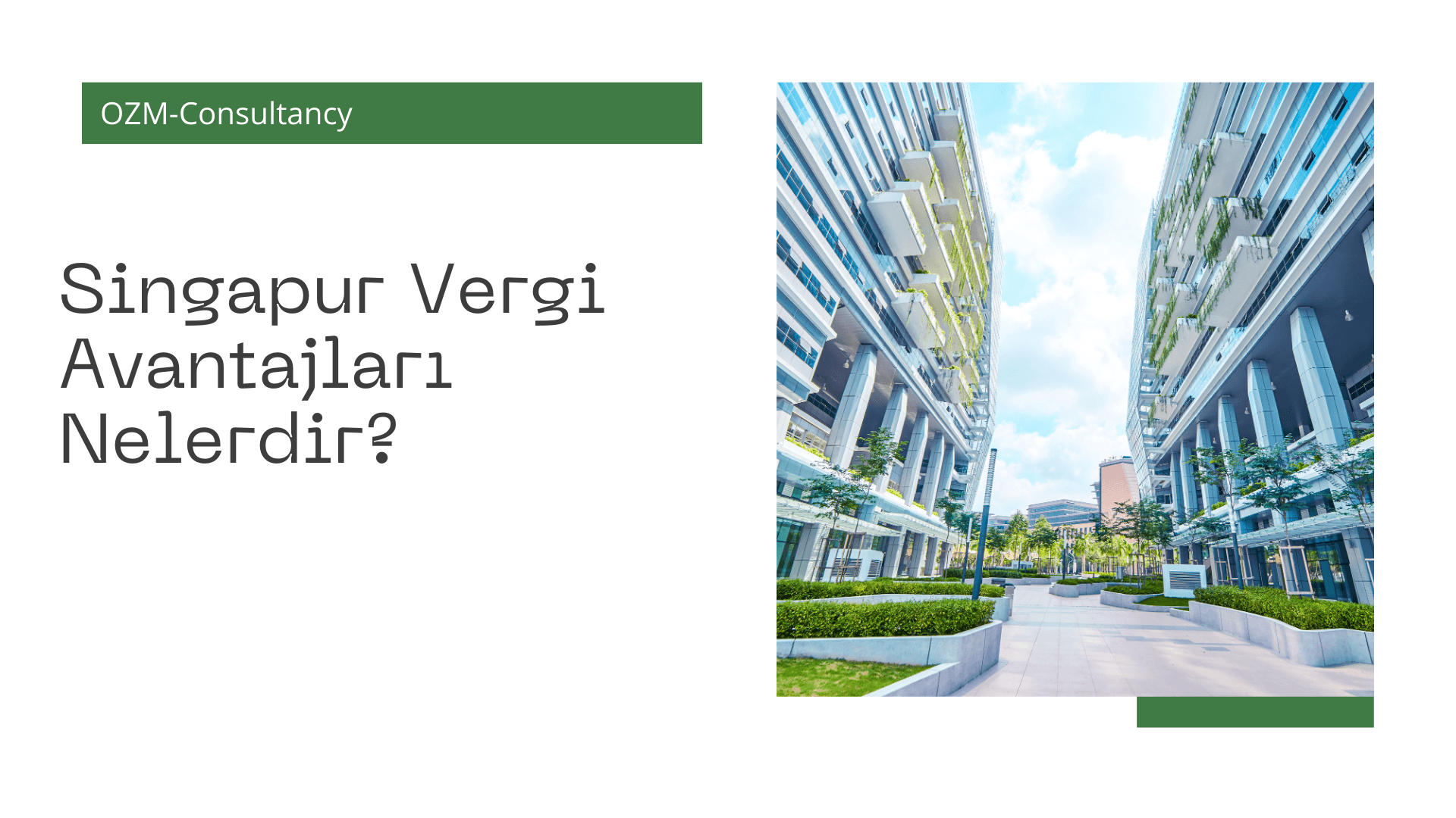 Singapur Vergi Avantajları Nelerdir?
