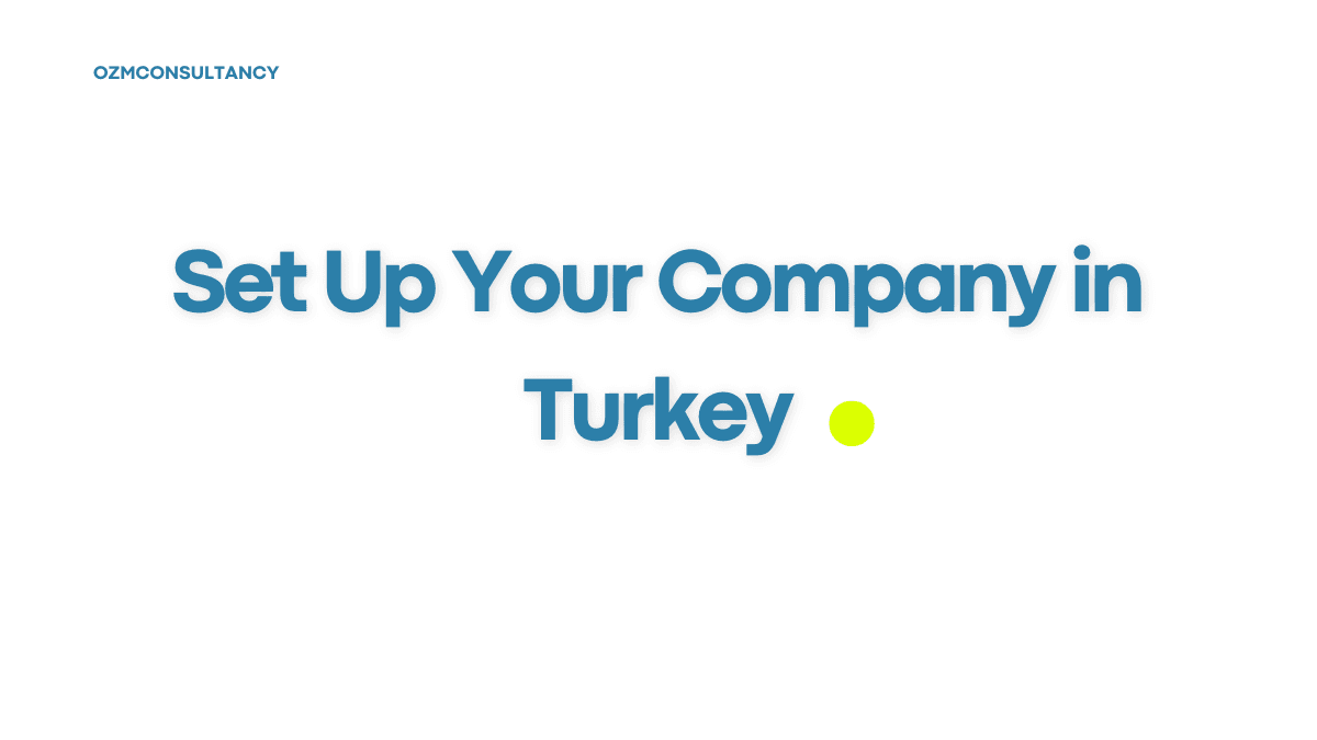 Set Up Your Company in Turkey: The Ultimate Guide to Business Success in 2025