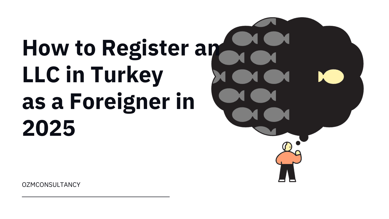 How to Register an LLC in Turkey as a Foreigner in 2025
