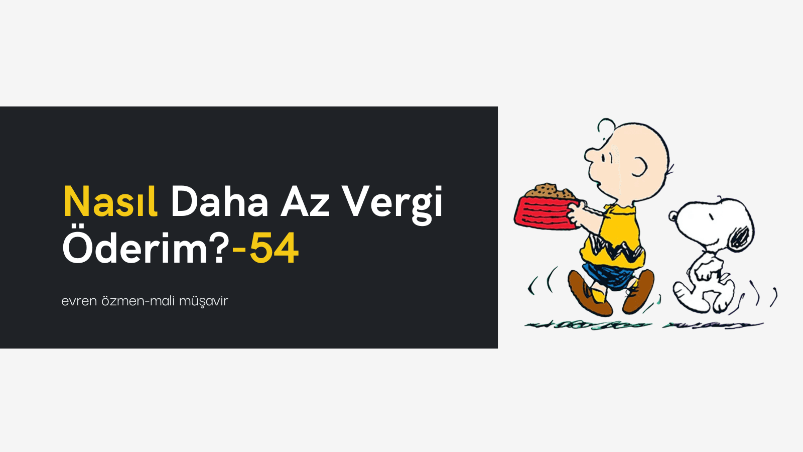Nasıl Daha Az Vergi Öderim?-54
