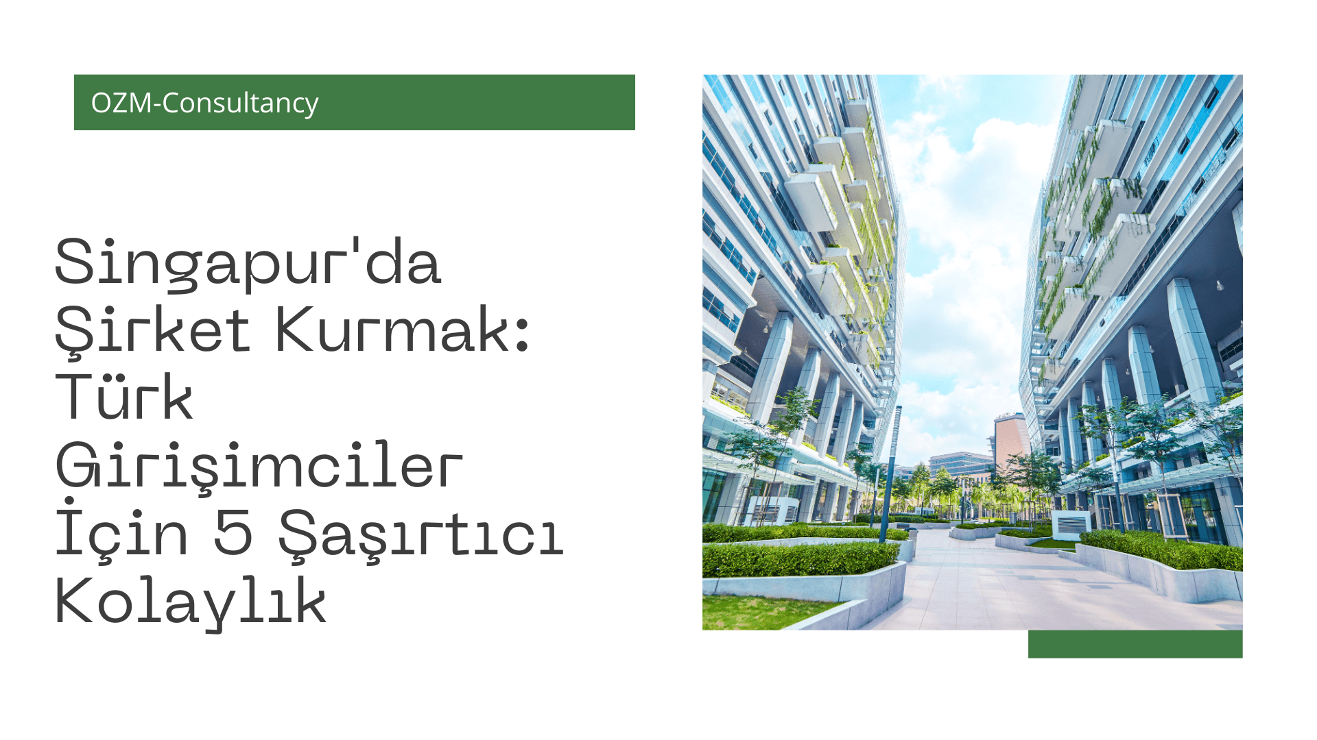 Singapur'da Şirket Kurmak: Türk Girişimciler İçin 5 Şaşırtıcı Kolaylık