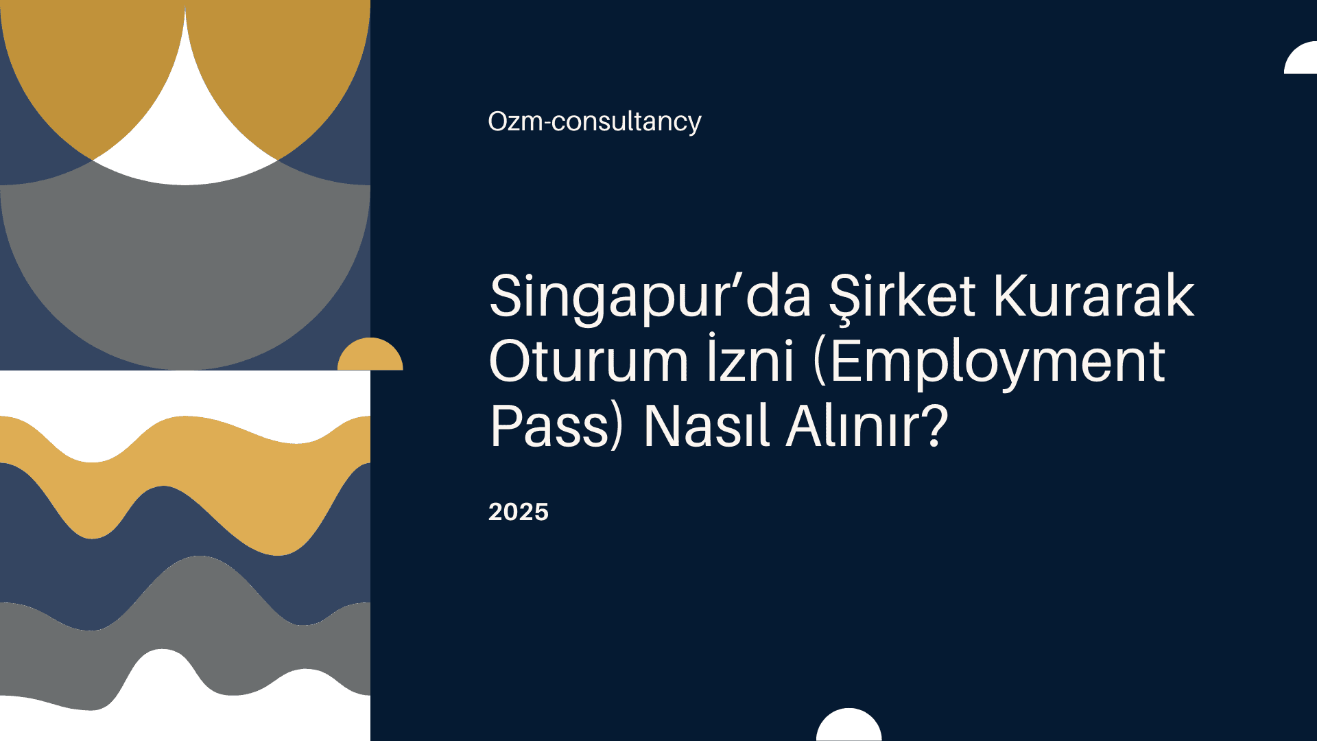 Singapur’da Şirket Kurarak Oturum İzni (Employment Pass) Nasıl Alınır?