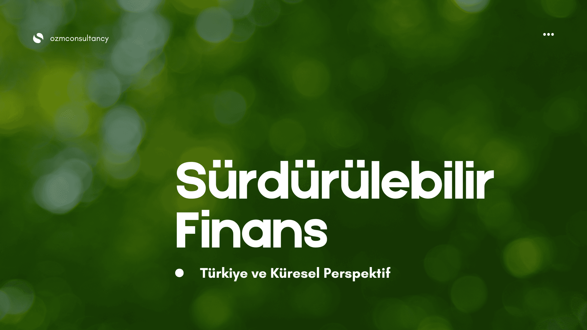 Sürdürülebilir Finans Son Gelişmeler: Türkiye ve Küresel Perspektif