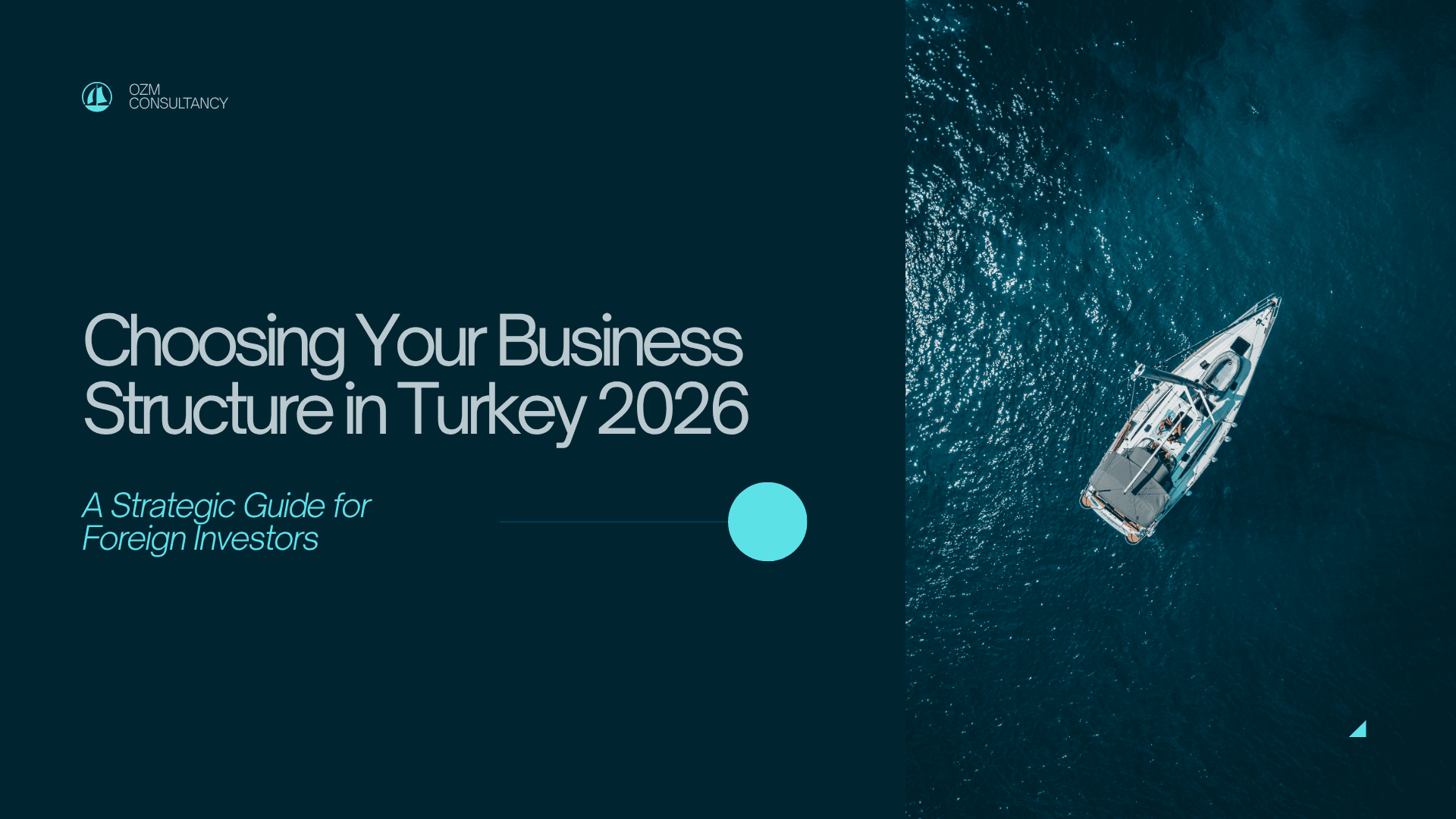 Choosing Your Business Structure in Turkey 2026: The Essential Entrepreneur’s Guide