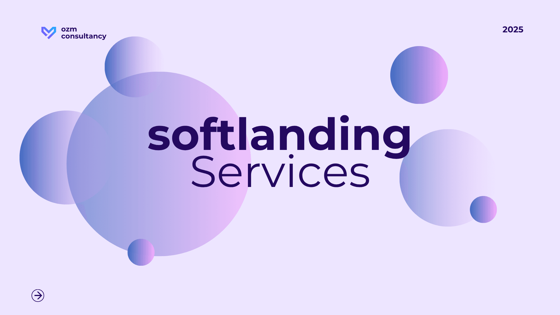 Softlanding Services Turkey: How OZM Ensures a Smooth, Compliant, and Efficient Market Entry
