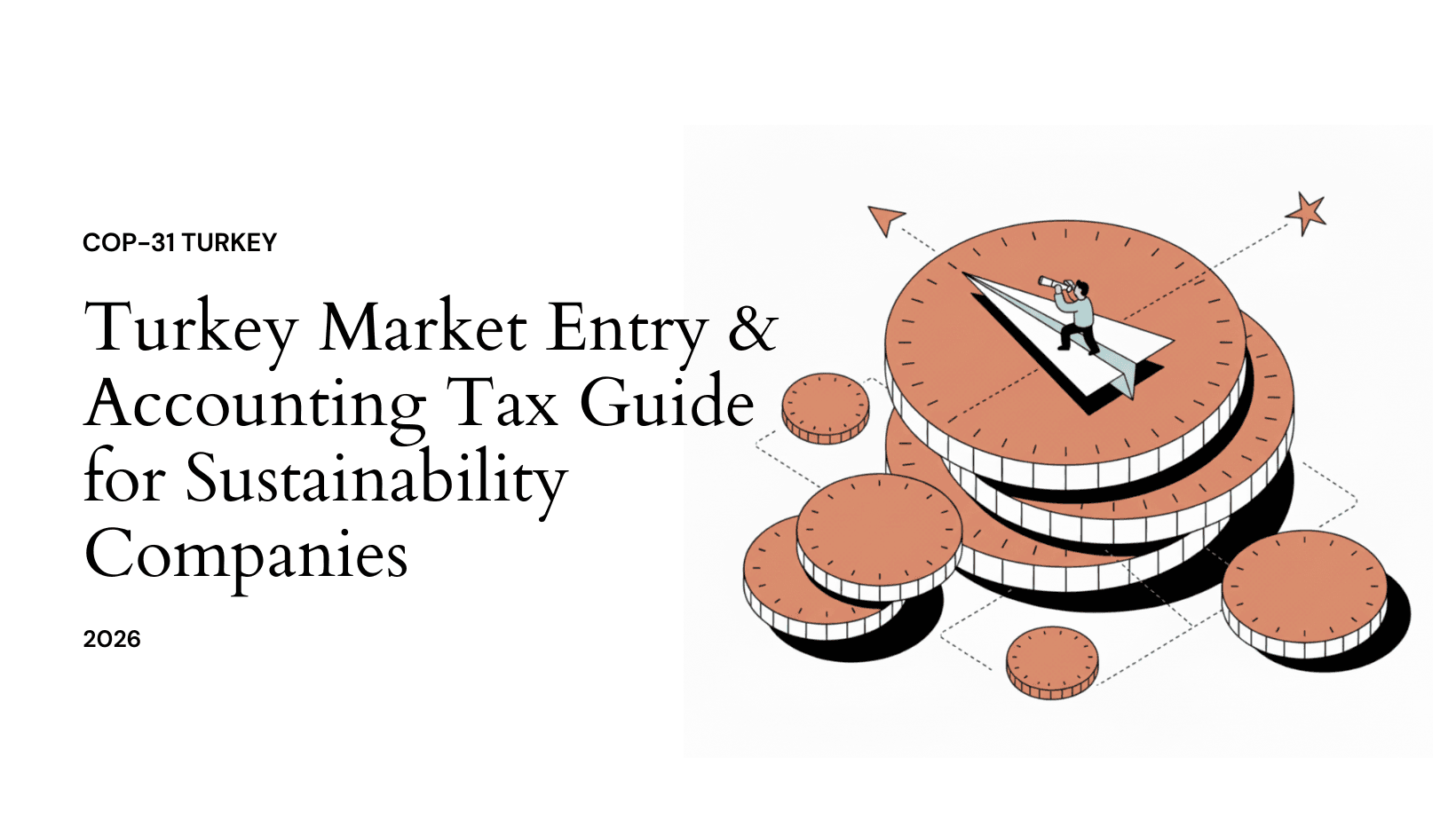 Turkey Market Entry & Accounting Tax Guide for Sustainability Companies – 2026