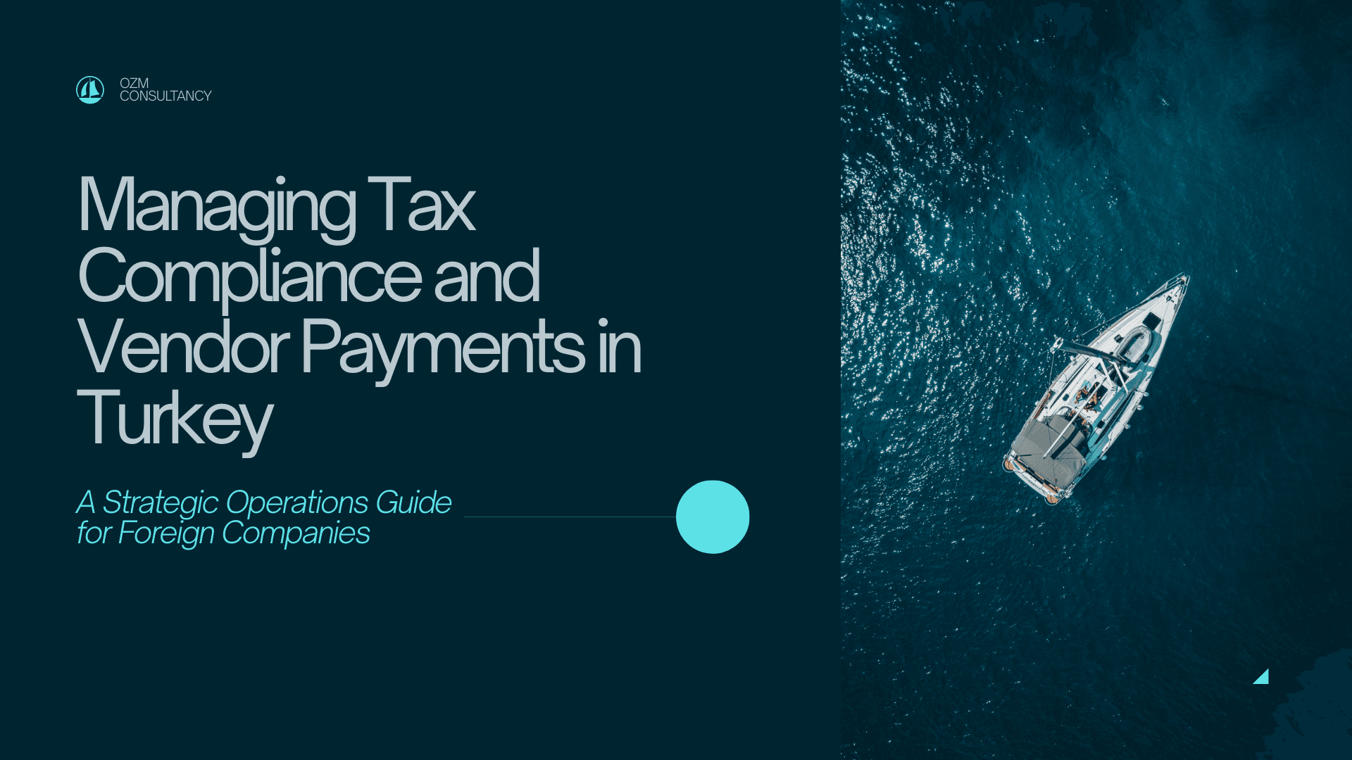 Managing Tax Compliance and Vendor Payments in Turkey: A Strategic Operations Guide for Foreign Companies