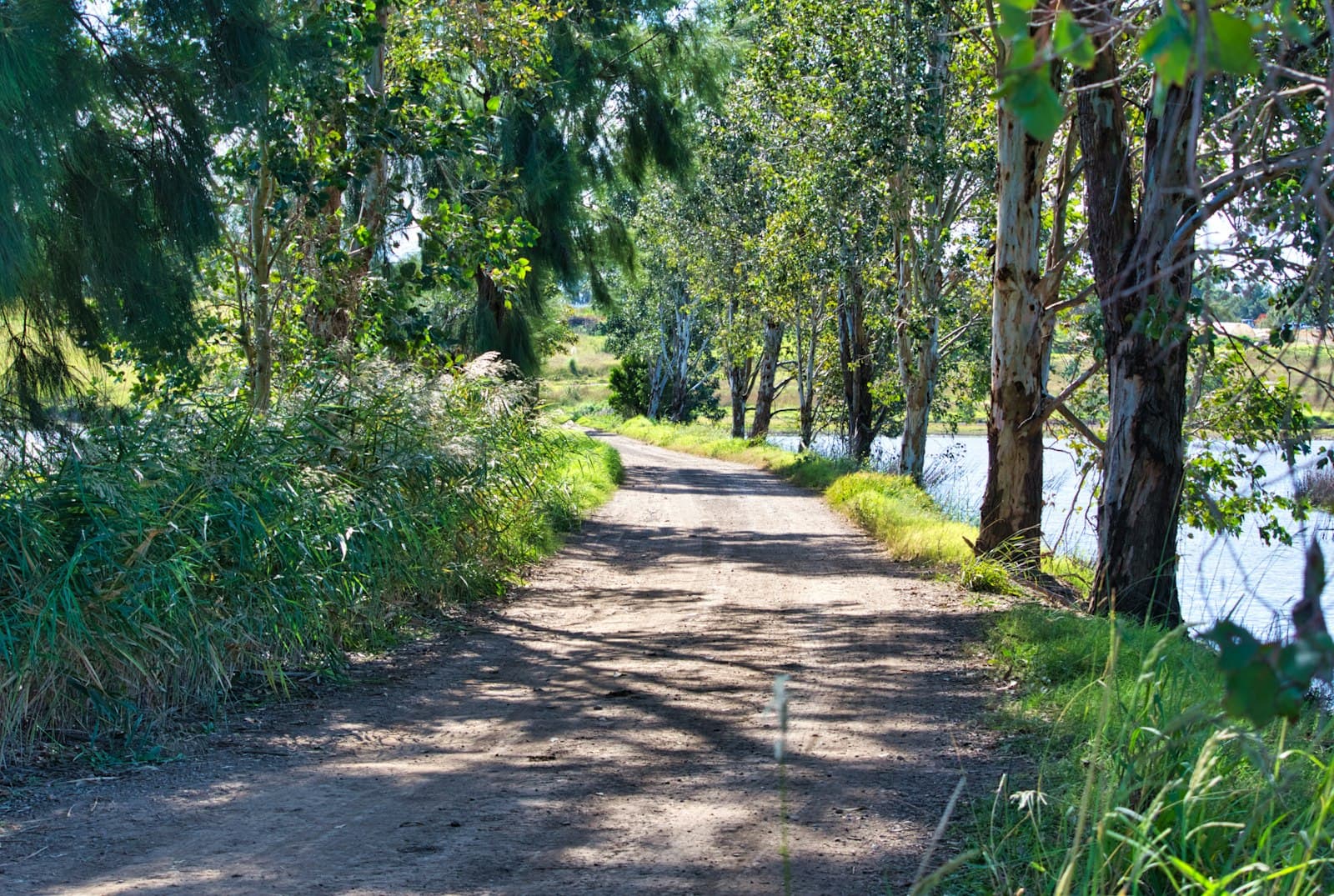 REACH Compliance Automation in Turkey: How to Prepare for the KKDIK 30 September 2026 Deadline