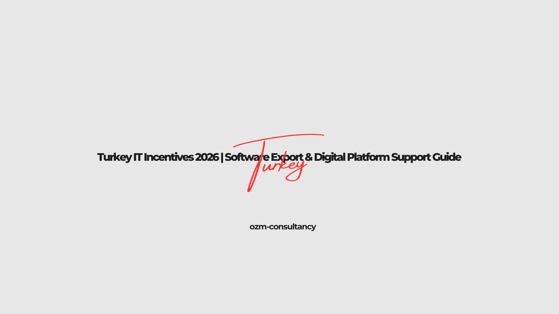 Turkey IT Incentives 2026 | Software Export & Digital Platform Support Guide